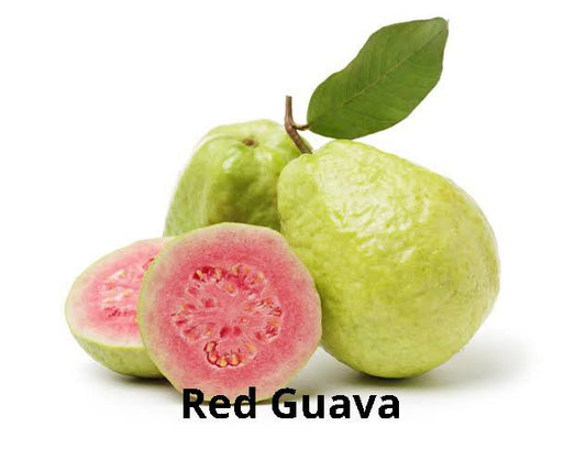 Guava Pink Taiwan / गुलाबी पेरू तैवान