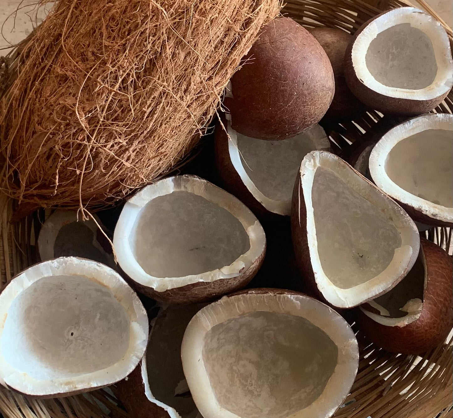 Dry Coconut सुके खोबरे