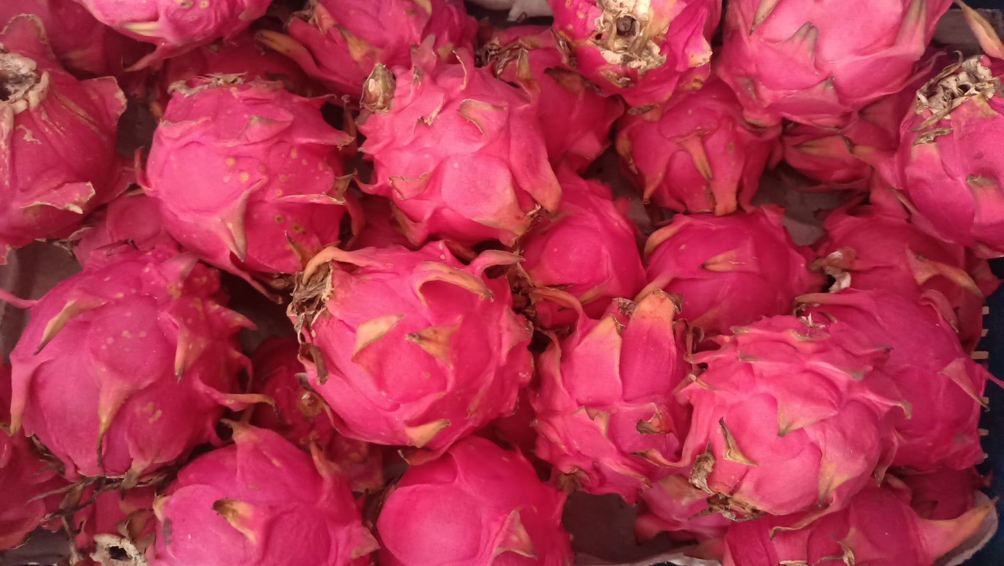 Dragon Fruits