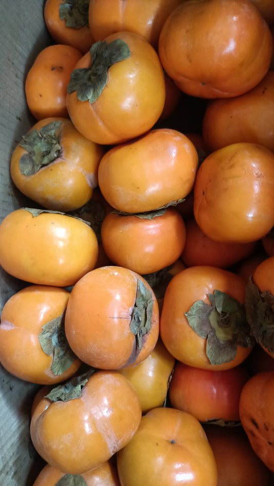Persimmon / अमरफल