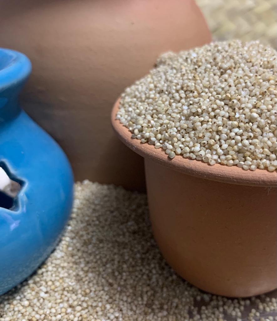 Little Millet/ वरी