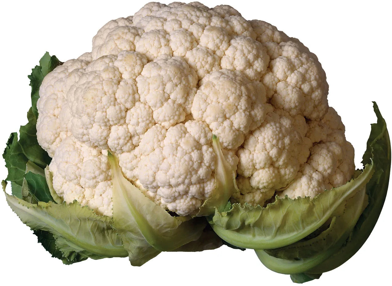 Cauliflower / फुलकोबी