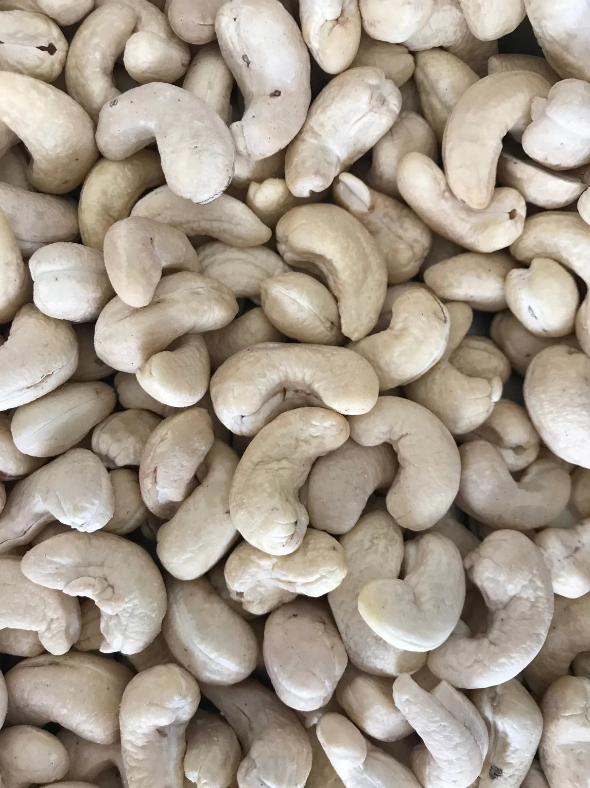 Cashew Whole/काजू अख्खा