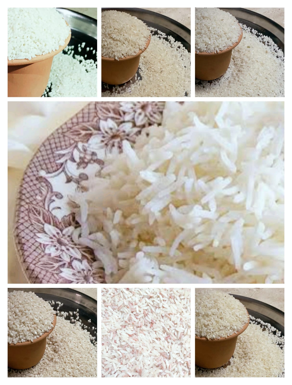 Rice