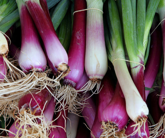 Spring Onion / कांदा पात