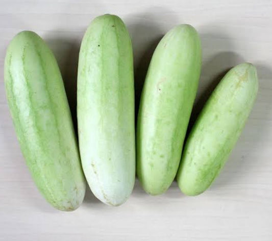Cucumber Regular / पांढरी काकडी