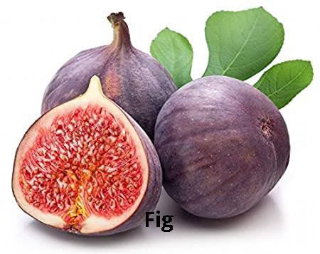 Fresh Fig अंजीर