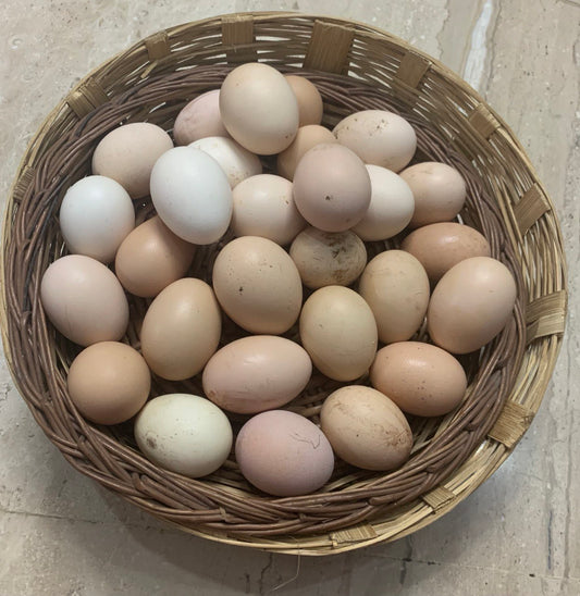Desi Eggs / देशी अंडी
