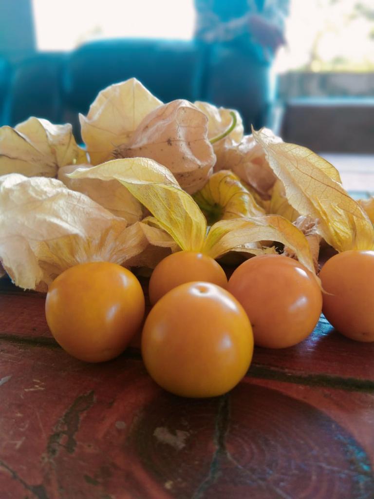 Cape Gooseberry / केप गुसबेरी/ रसभरी