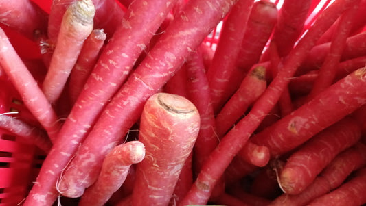 Carrot Red / लाल गाजर