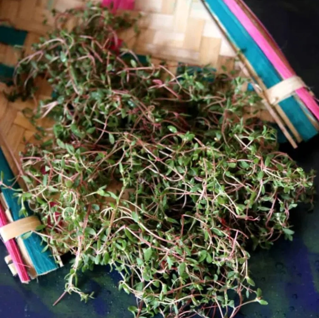 Purslane चिवळ भाजी