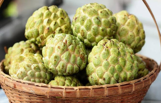 Custard apple Golden/ सिताफळ गोल्डन