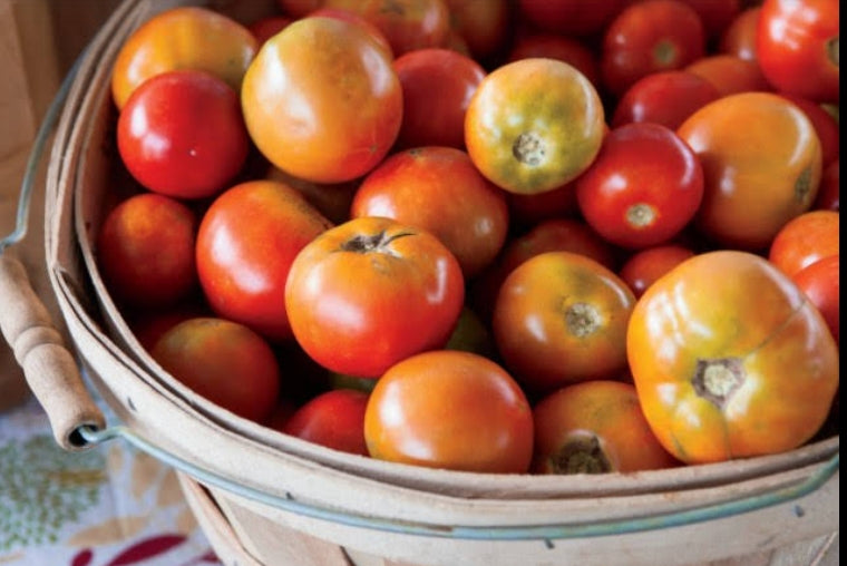 Tomato Desi/ टोमॅटो देशी