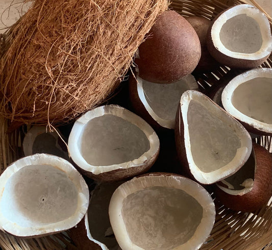 Dry Coconut सुके खोबरे