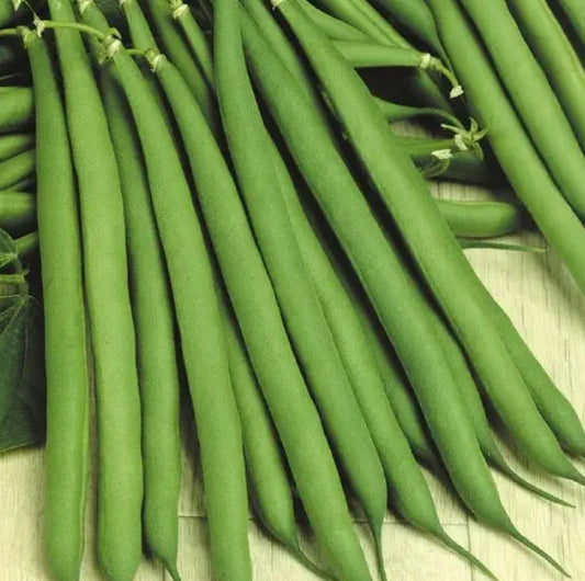 French Beans / श्रावण घेवडा