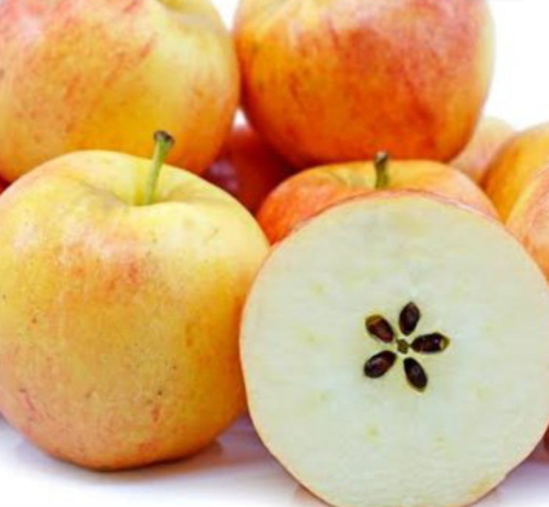 Apples Gala
