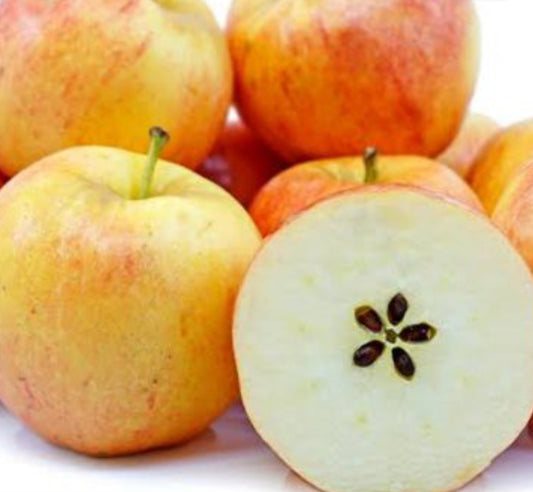 Apples Gala