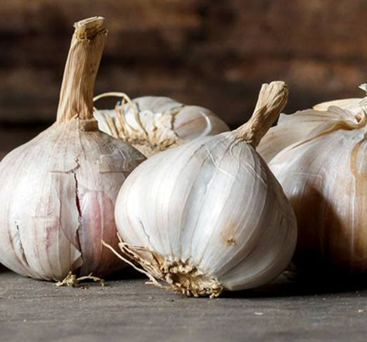 Garlic / लसूण