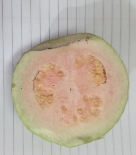 Guava Pink / गुलाबी पेरू