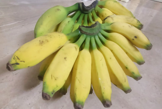 Banana Rajapuri / राजापुरी केळी