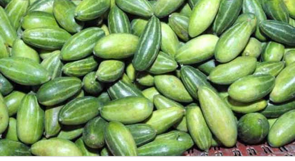 Ivy Gourd / तोंडली