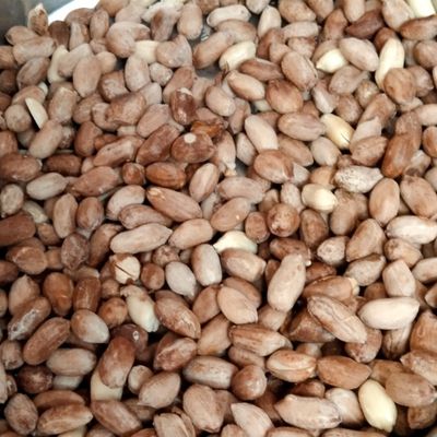Roasted Salted Peanuts / खारे शेंगदाणे