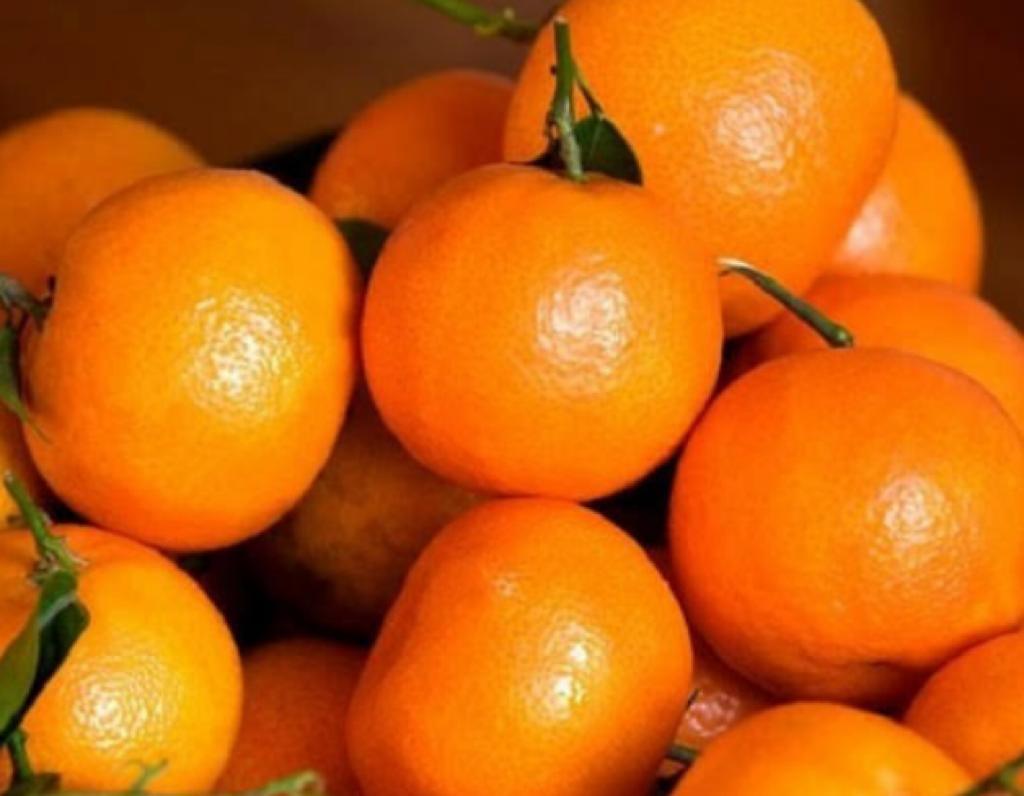 Kinnow किंनू