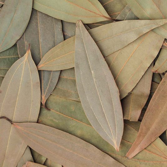 Bay leaf / तमालपत्र
