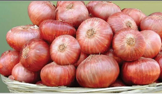 Onion Red  / कांदा लाल
