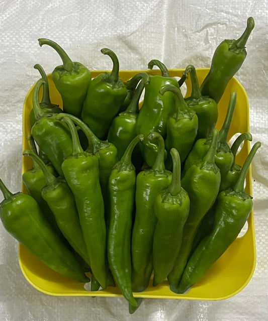 Picador Chili