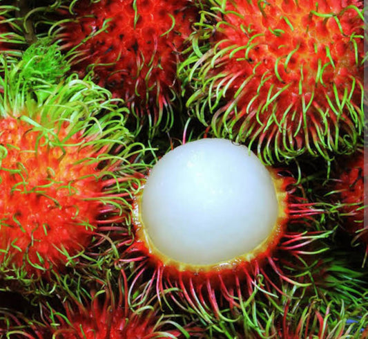 Rambutan