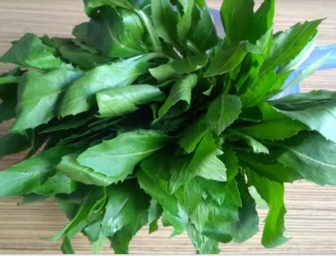 Safflower Leaves