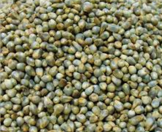 Bajra / बाजरा
