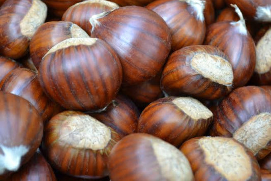 Chestnut