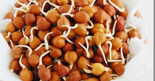 Sprouted Chana / मोडाचे चने