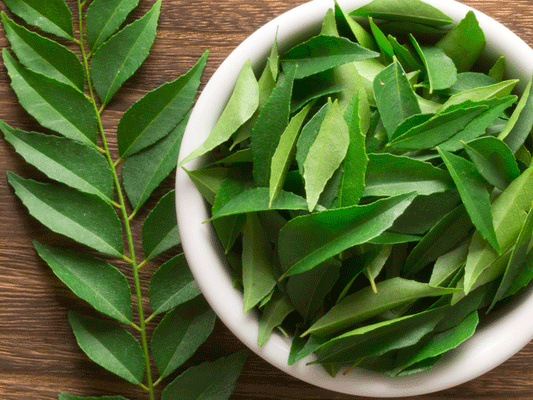 Curry leaves/ कढी पत्ता