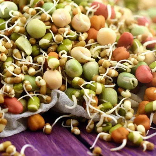 Sprouted Mix Legumes / मिश्र कडधान्य