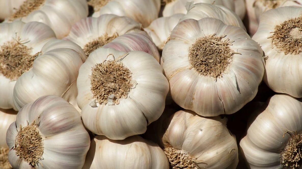 Garlic Desi/ लसूण गावरान