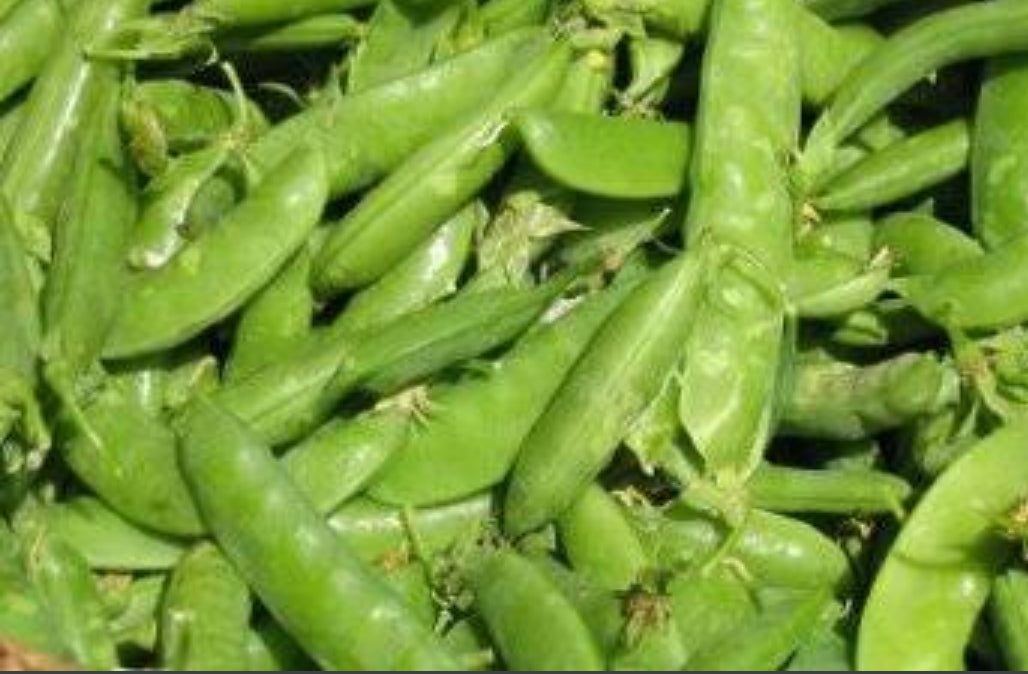 Green Peas / हिरवा वाटाणा