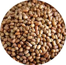 Whole Matki / अख्खी मटकी/ साबुत मोठ