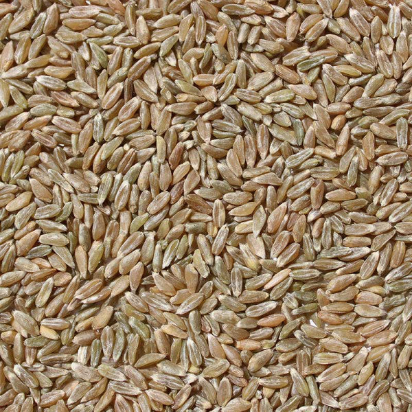 Wheat Khapali गहू खपली