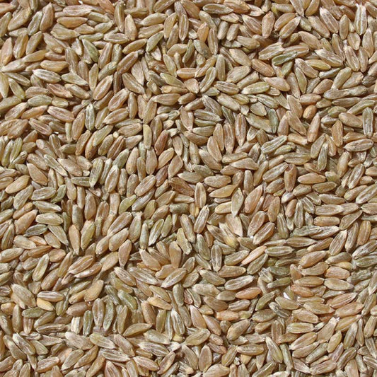 Wheat Khapali गहू खपली