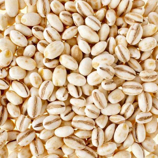 Barley / जव